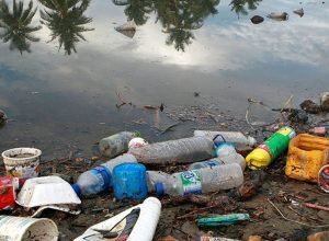 viva-maria:-rede-oceano-limpo-luta-contra-a-poluicao-plastica