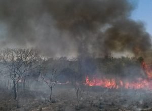 detran-tocantins-orienta-motoristas-sobre-incendios-perto-de-estradas