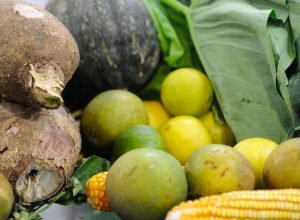 preco-da-cesta-basica-cai-em-15-de-17-capitais-pesquisadas