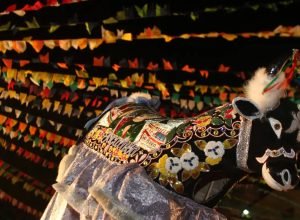 programacao-revela-o-mosaico-cultural-dos-festejos-juninos-no-brasil