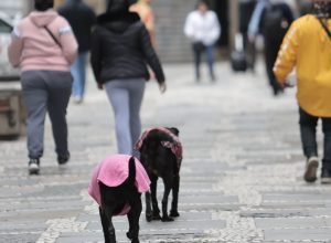parque-nacional-do-itatiaia-registra-menor-temperatura-do-ano:-9,4oc
