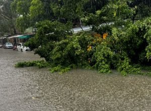 defesa-civil-alerta-e-lancado-no-nordeste-para-notificar-riscos