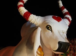 parintins:-boi-garantido,-uma-historia-de-fe,-arte-e-compromisso