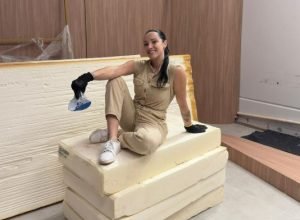 Artista Plástica Flexível