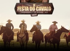 Captura de tela 2025-04-28 175147