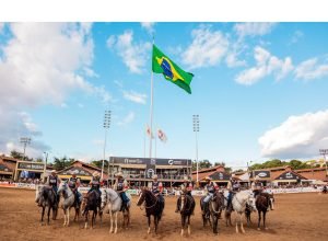 Cavalo Mangalarga-min