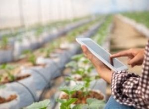 Inteligência Artificial no Agro-min