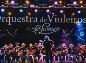 Viola São Lourenço-min